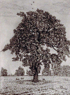 Click to enlarge